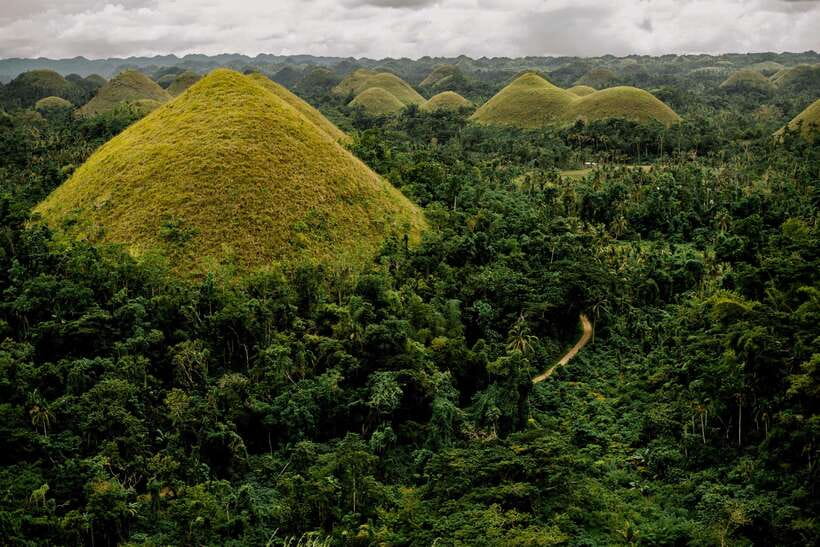 Bohol: Full Day Countryside Tour w Loboc River Lunch - A quiet look at Philippine tarsiers