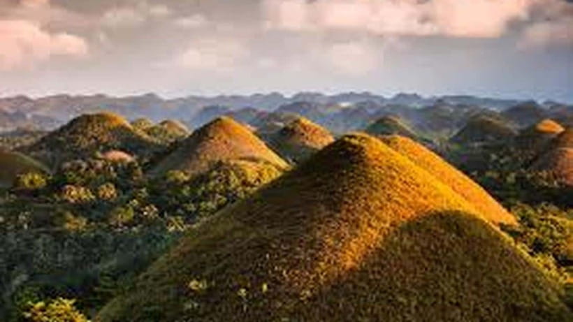 Bohol: Guided Chocolate Hills & Tarsiers Tour - The van, guides, and the human side of the day