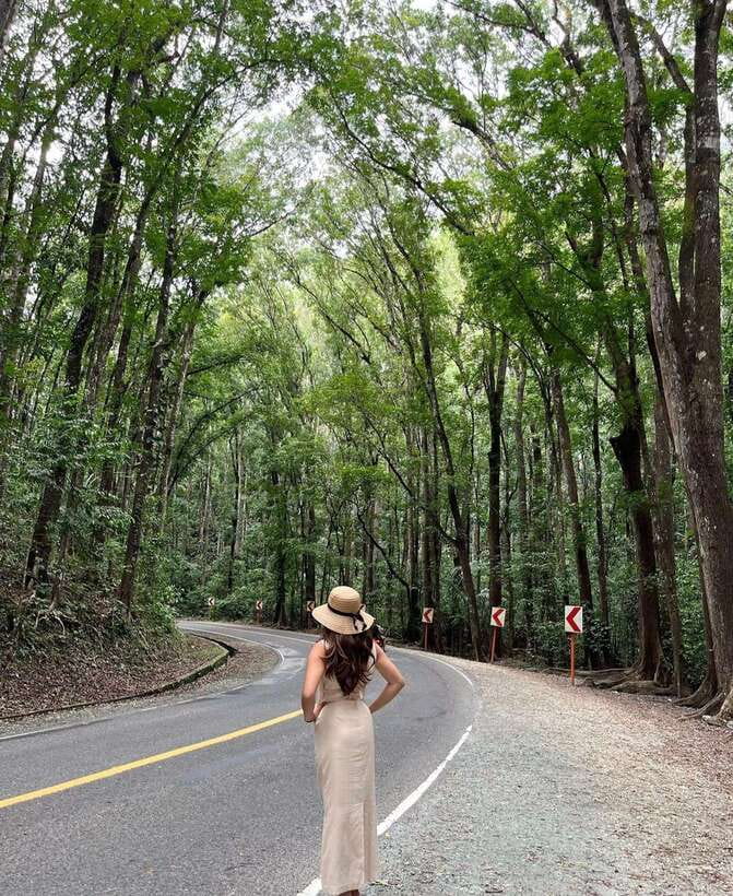 Bohol: Guided Chocolate Hills & Tarsiers Tour - Pickup in Panglao and the first hour on the road