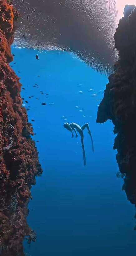 Bohol: Guided Sardine Reef Snorkeling Experience - Why Panglao’s sardine reef is worth your morning