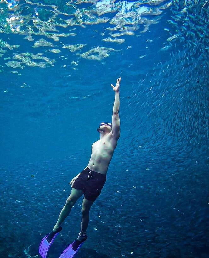 Bohol: Guided Sardine Reef Snorkeling Experience - What happens if the sardines are absent