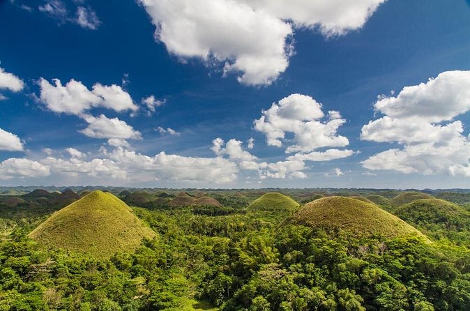 Bohol Highlights Tour: Chocolate Hills, Tarsier Spotting and Loboc River Cruise - The mahogany forest and Bohol’s rural interior