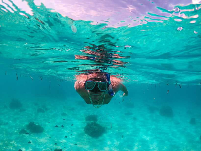 Bohol: Pamilacan Island Dolphin/Turtle Watching Tour & Lunch - What makes this Pamilacan trip worth considering