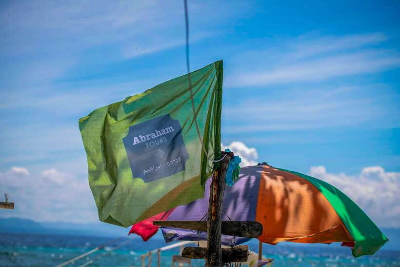 Bohol: Pamilacan Island Dolphin/Turtle Watching Tour & Lunch - Who should book this day trip?