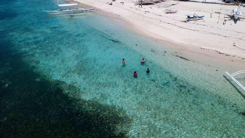 Bohol: Pamilacan Island Dolphin/Turtle Watching Tour & Lunch - Is $70 a fair price?