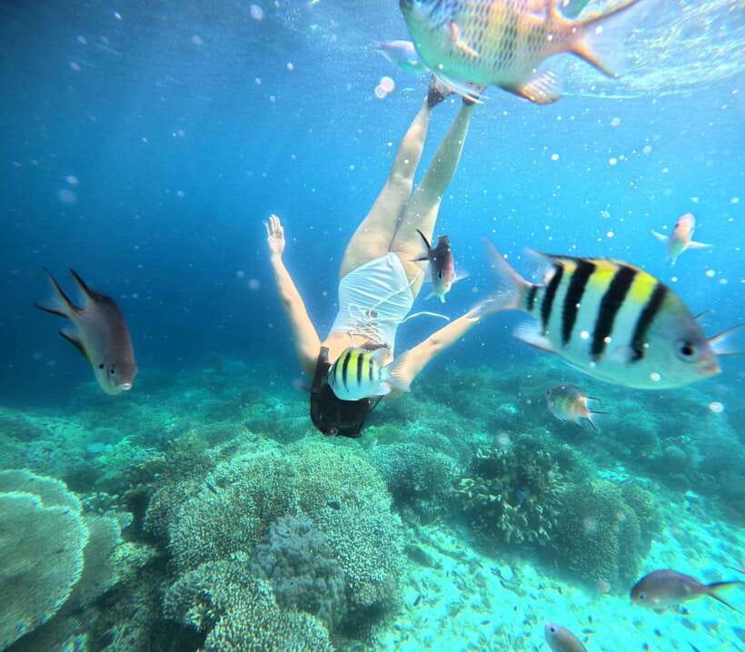 Bohol: Panglao Island Hopping Tour with Snorkeling (Private) - Key points to know before you book