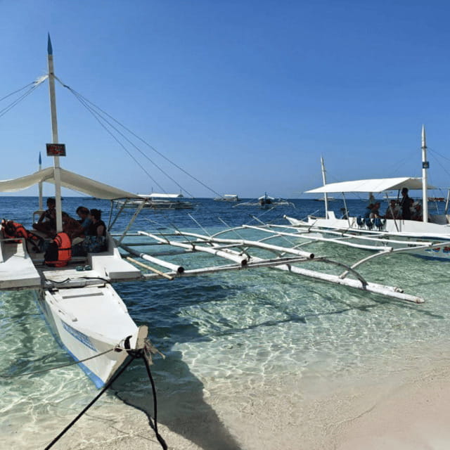Bohol: Panglao Island Hopping Tour with Snorkeling (Private) - Why the early start at South Beach matters