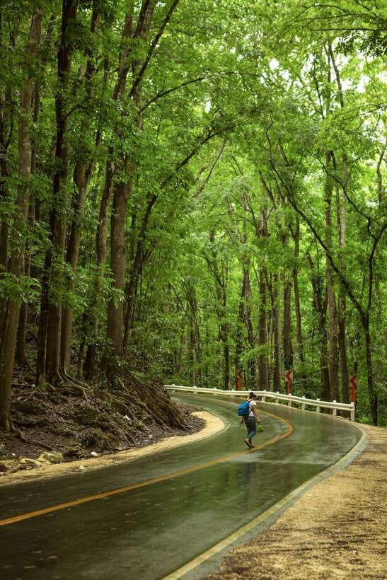 Bohol: Premium Chocolate Hills, Tarsiers & River Experience - Why this seven-hour route works