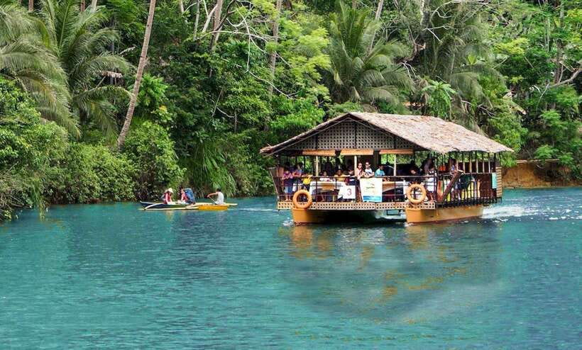 Bohol: Premium Chocolate Hills, Tarsiers & River Experience - Meeting the tiny tarsiers