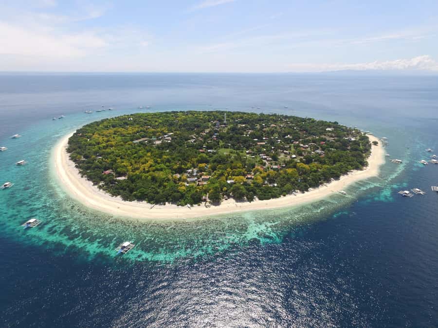 Bohol: Private Balicasag Tour with extra snorkeling time - An early morning on the water from Panglao