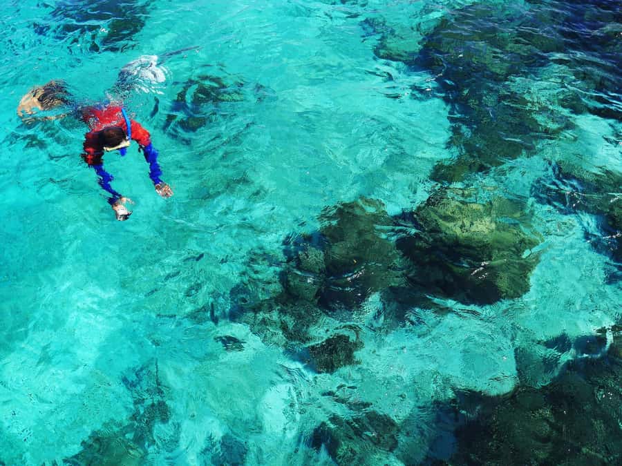Bohol: Private Balicasag Tour with extra snorkeling time - Extra snorkeling time around Balicasag