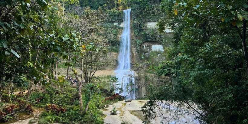 Bohol Private Tour Anda, Candijay & Alicia Panoramic Park - Cadapdapan Rice Terraces: Bohol’s working countryside