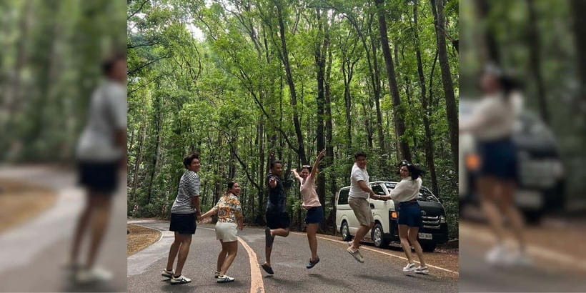 Bohol Private Tour: Chocolate Hills, Tarsiers & Loboc River - Timing, pickup areas, and ferry connections