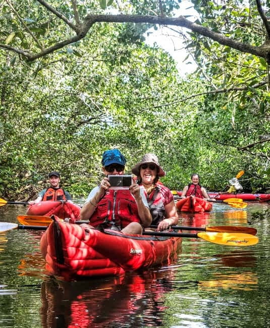 Bohol: SUSTAINABLE Mangrove Tunnels & Firefly Kayaking trail - From your Bohol hotel to the river station