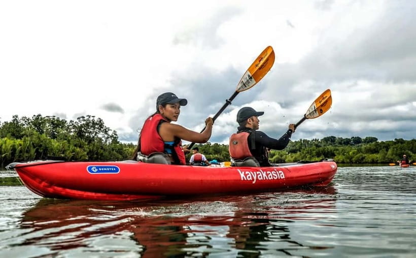 Bohol: SUSTAINABLE Mangrove Tunnels & Firefly Kayaking trail - The first paddle through mangrove tunnels and nipa palms