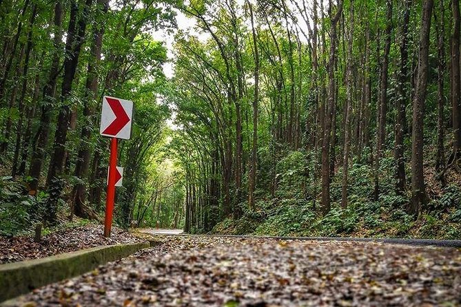 BOHOL Tour 2026 - Chocolate Hills, Tarsier and River Cruise Lunch - Three signature Bohol sights in one day
