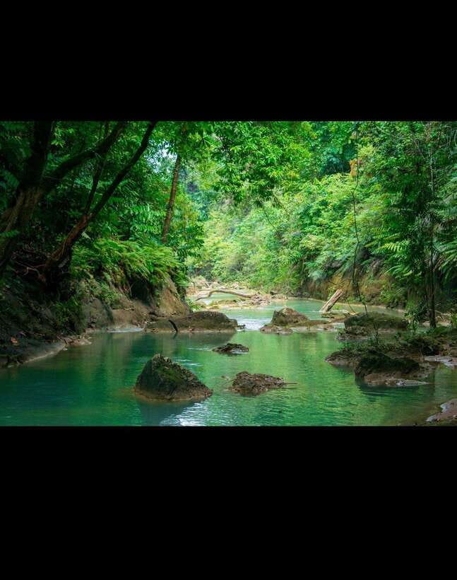 Bohol: Waterfall Hopping & Secret Jungle Trails Guided Tour - How much value you get for $42