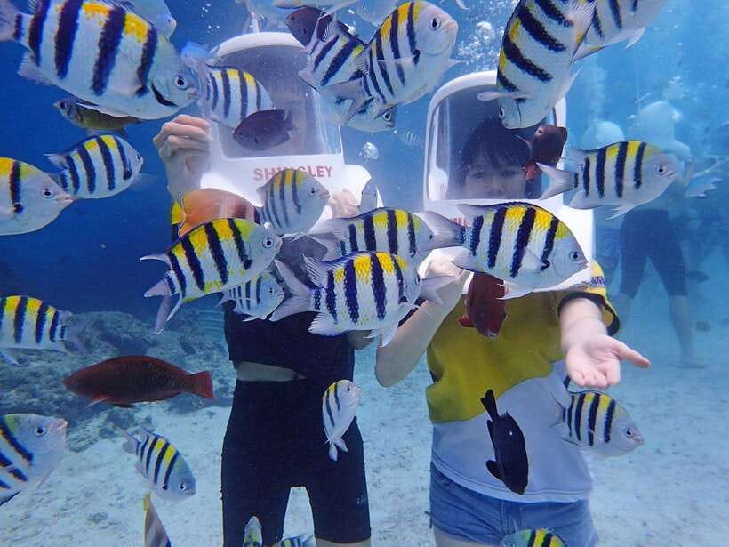 Boracay: Aquanaut Adventure with Photos and Videos - Walking beneath Boracay’s clear water