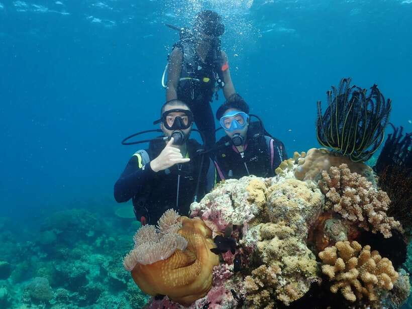 Boracay: Introduction to Scuba Diving Experience - A gentle first step below Boracay’s water