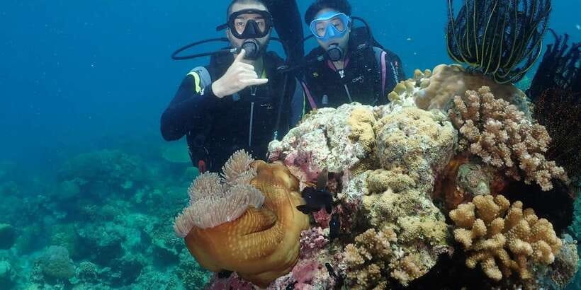 Boracay: Introduction to Scuba Diving Experience - The open-water session reaches a beginner-friendly depth