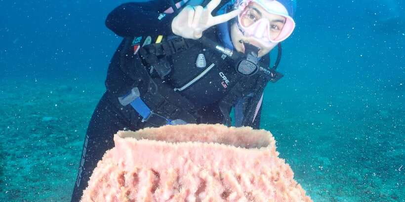 Boracay: Introduction to Scuba Diving Experience - Photos and videos add real value, with one caveat