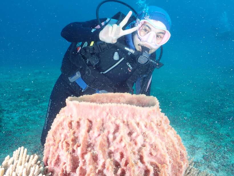 Boracay: Introduction to Scuba Diving Experience - The briefing turns unfamiliar gear into simple steps