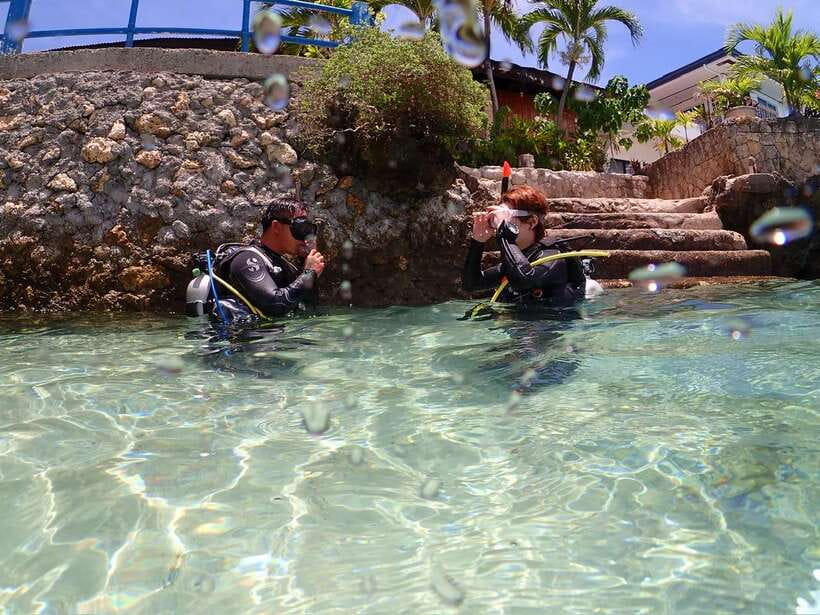 Cebu: Beach Scuba Diving Experience - What makes the Cebu underwater setting special