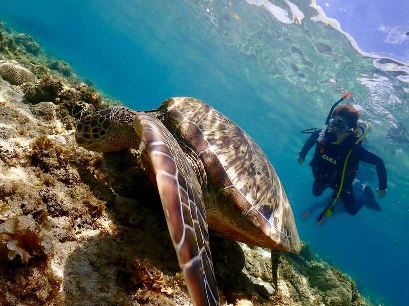 Cebu: Beach Scuba Diving Experience - The briefing that settles first-time nerves
