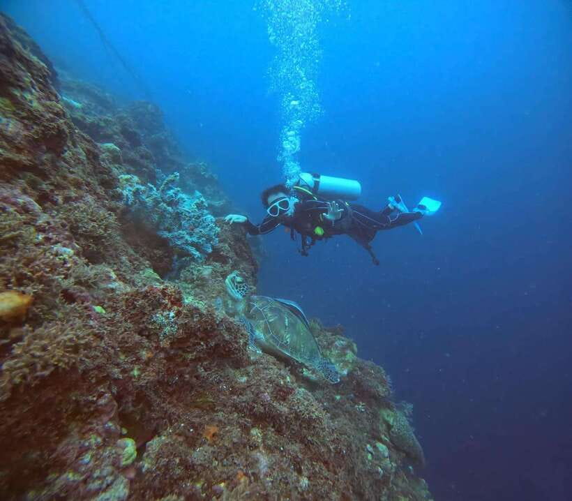 Cebu: Beach Scuba Diving Experience - Timing your booking around flights and alcohol