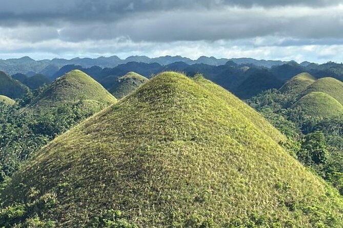 Cebu-Bohol Day Tour + Ferry Tickets - Meeting Bohol’s tiny tarsiers
