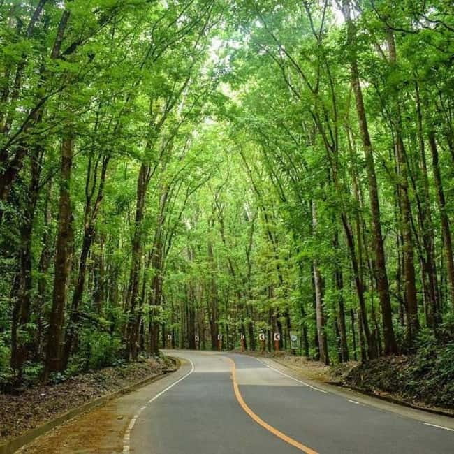 Cebu City: Bohol Countryside Tour with River Cruise Lunch - Is $160 good value?