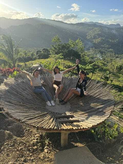 Cebu: City Highlights with Sirao Flower Garden Visit - The van ride, group size, and daily pace