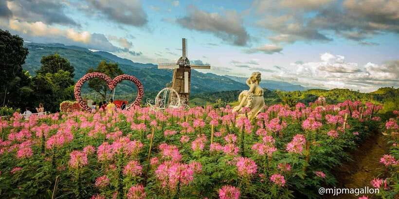 Cebu City: Historical, Local Cuisine & Mountain Guided Tour - The guide can make or break the day
