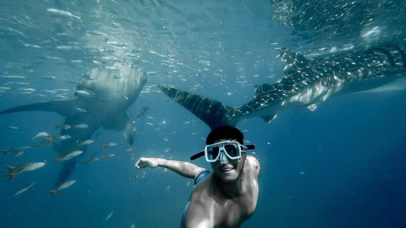 Cebu City: Whale Shark Swimming & Kawasan Falls Canyoneering - Kawasan Falls canyoneering from the jump-off point