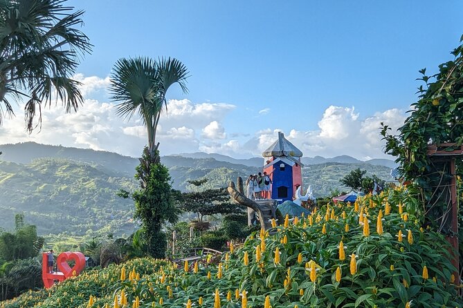 Cebu City with Sirao Garden Half Day Tour - Santo Niño Basilica: A Living Place of Devotion