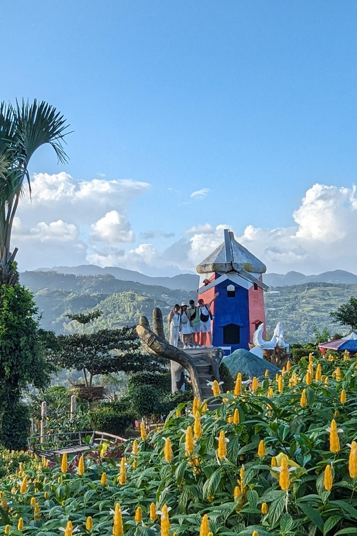 Cebu City with Sirao Garden Half Day Tour - Who Should Book This Cebu Half-Day Tour?