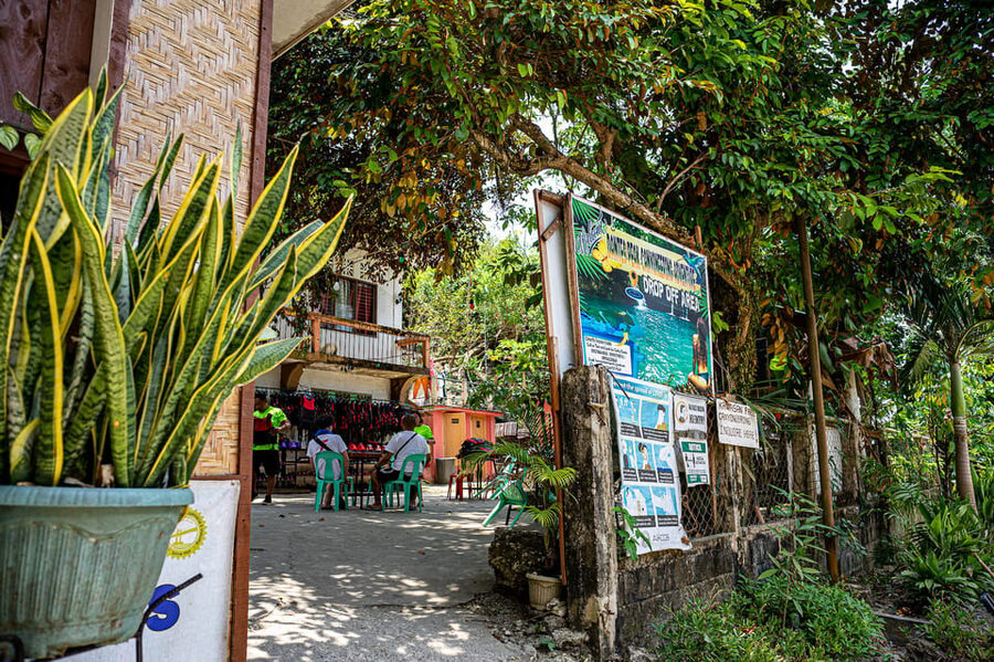 Cebu: Kawasan Canyoning, Moalboal Snorkeling, & Turtles Tour - How the tour performs as a full-day value