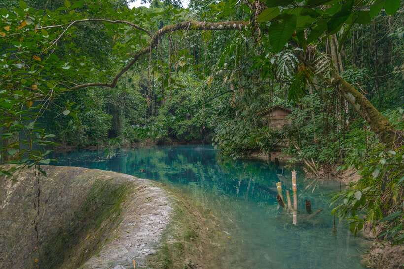 Cebu: Kawasan Falls Canyoneering & Cliff Jump Private Tour - What the $132 price really covers