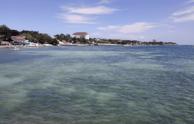 Cebu & Lapu-Lapu City Tour With Lunch at House of Lechon - Tops Lookout and the best broad view of Cebu