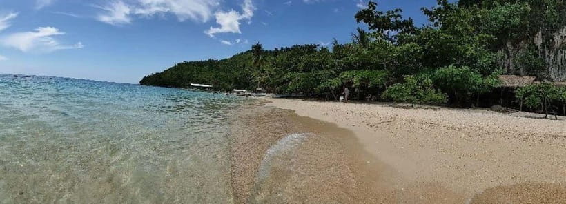 Cebu: Mantayupan Falls, Hermit's Cove & Bojo River Eco Tour - Bojo River: the most rewarding stop for nature fans