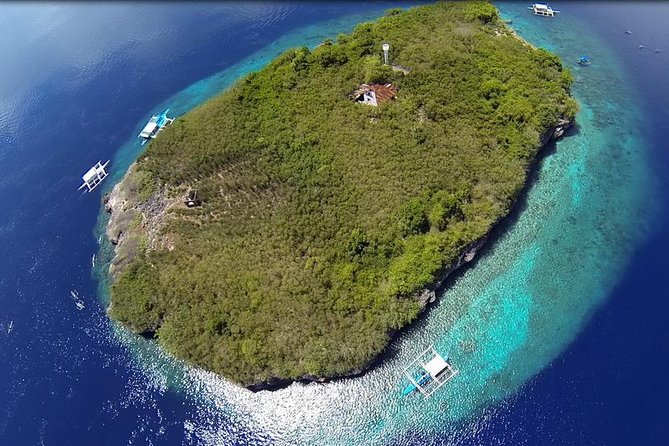 Cebu Moalboal Beach, Sardine Run, Sea Turtle Viewing + Canyoneering Tour - Why Moalboal is worth the long ride from Cebu