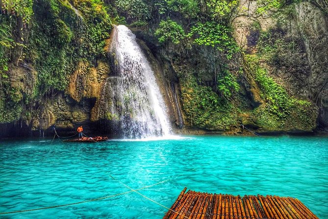 Cebu Moalboal Beach, Sardine Run, Sea Turtle Viewing + Canyoneering Tour - Swimming with turtles and sardines at Moalboal