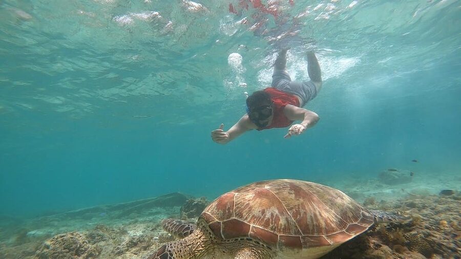 Cebu: Moalboal Island Hopping and Mantayupan Falls Day Trip - What the $112 price really covers