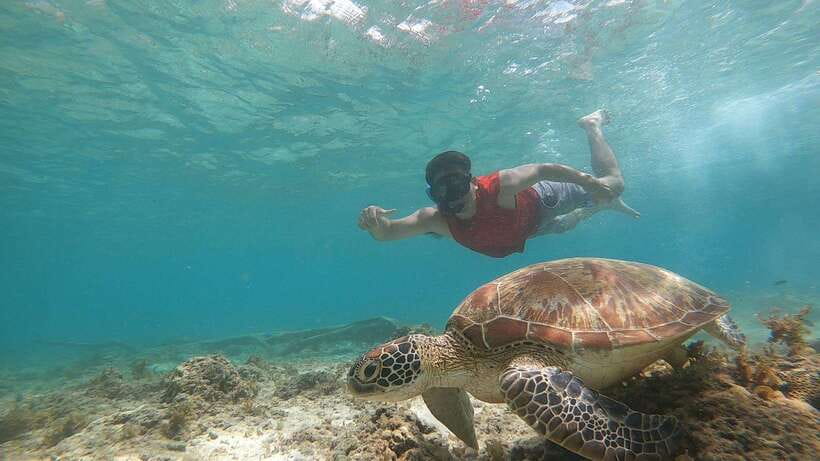Cebu: Moalboal Island Hopping & Kawasan Falls Adventure - Food, gear, and what you need to carry