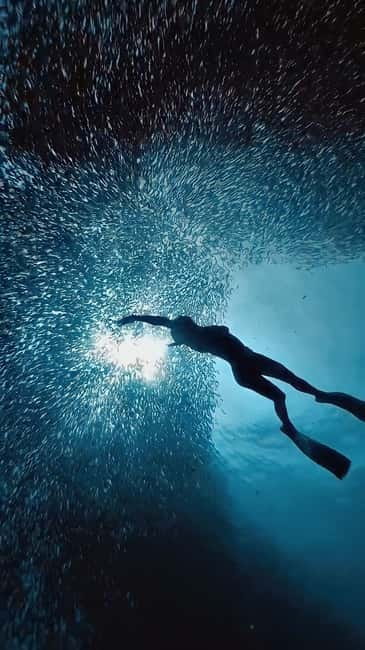 Cebu: Moalboal Sardine Run & Kawasan Falls Canyoneering - The road from Cebu: beautiful, useful, and long