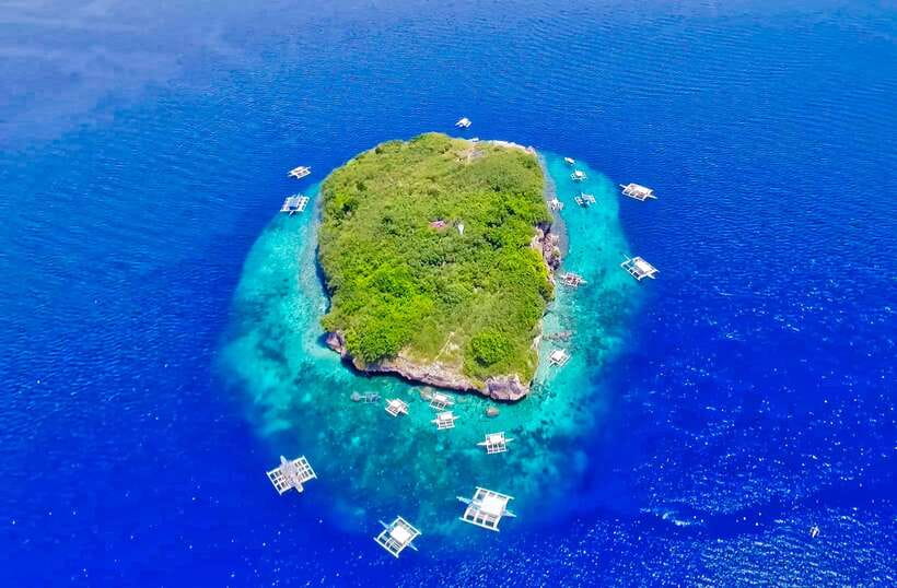 Cebu: Moalboal Sardines and Turtles Snorkeling Tour - Why Moalboal’s sardine run is worth the long road