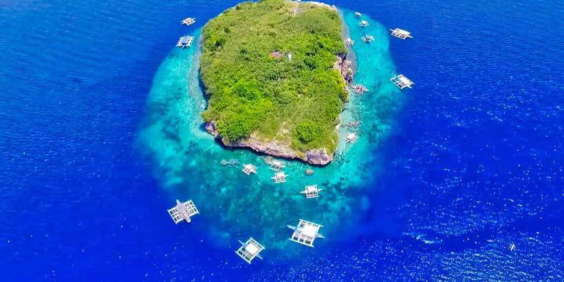 Cebu: Moalboal Sardines and Turtles Snorkeling Tour - Pescador Island and the two-hour snorkeling session