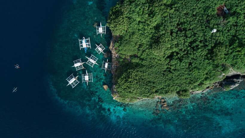 Cebu: Moalboal Sardines and Turtles Snorkeling Tour - Looking for turtles at Talisay Point