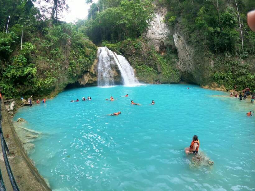 Cebu: Moalboal Sardines Run Snorkel & Kawasan Canyoneering - Moalboal’s sardine run is the morning prize