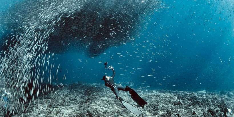Cebu: Moalboal Sardines & Turtle Snorkeling and Canyoneering - Is $150 a fair price?